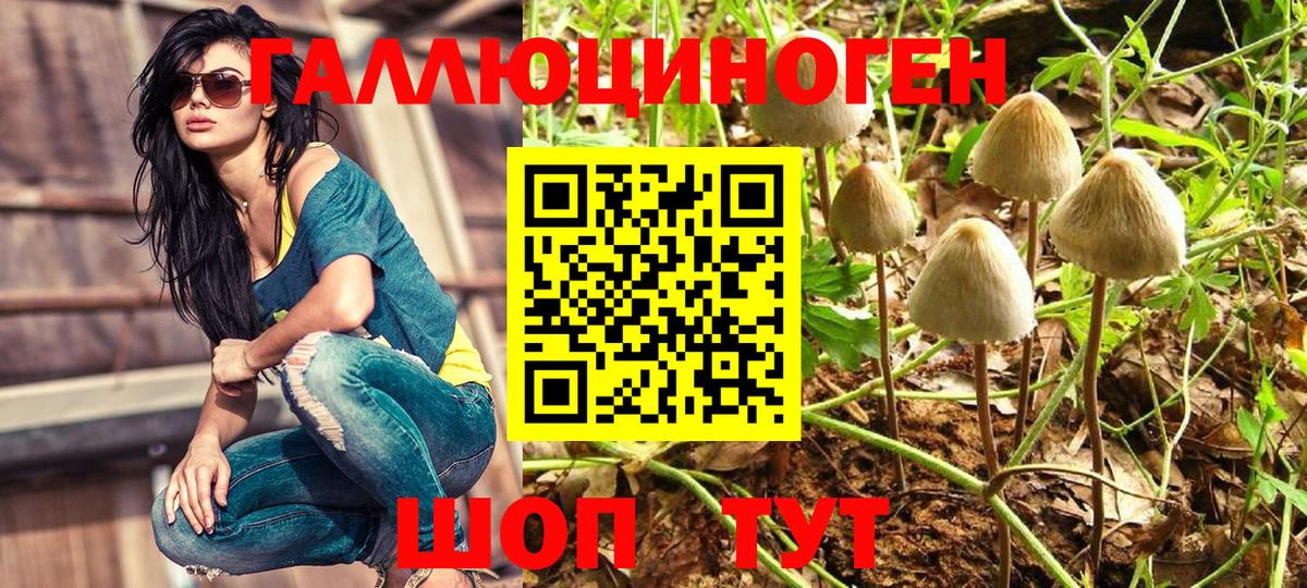 Псилоцибиновые грибы ЛСД Мирный